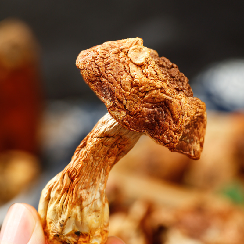 Agaricus Blazei Mushroom Dry Goods Selected Specialty Yunnan Mountain Mushrooms Mushrooms Matsutake Mushrooms Edible Mushrooms Shiitake Mushrooms 250g
