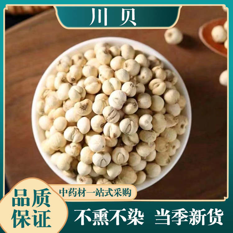 Чуаньбей Сычуань Настоящий Сосновый Клюв Кончик Клюва Происхождение Прямые Поставки Целая Свекровь Белый Фрукт Оптовая Продажа