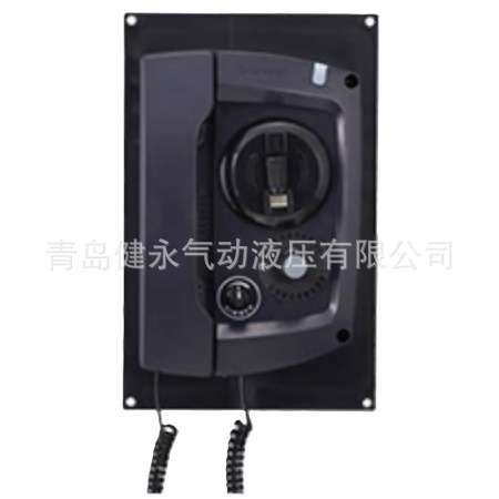 South Korea Hanshin Marine Battery Phone/I.S Cbt-16 Battery Phone Hcw/Hcf/Hcp Series