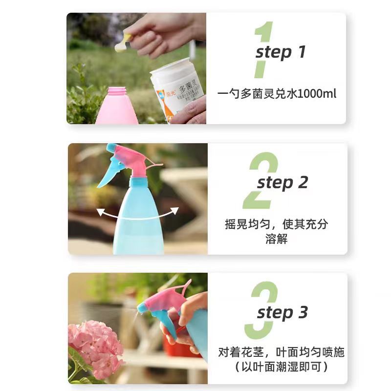 Guoguang Carbendazim General Fungicide for Flower Plants Rose Black Spot Disease Succulent Bituminous Black Rot Anthers