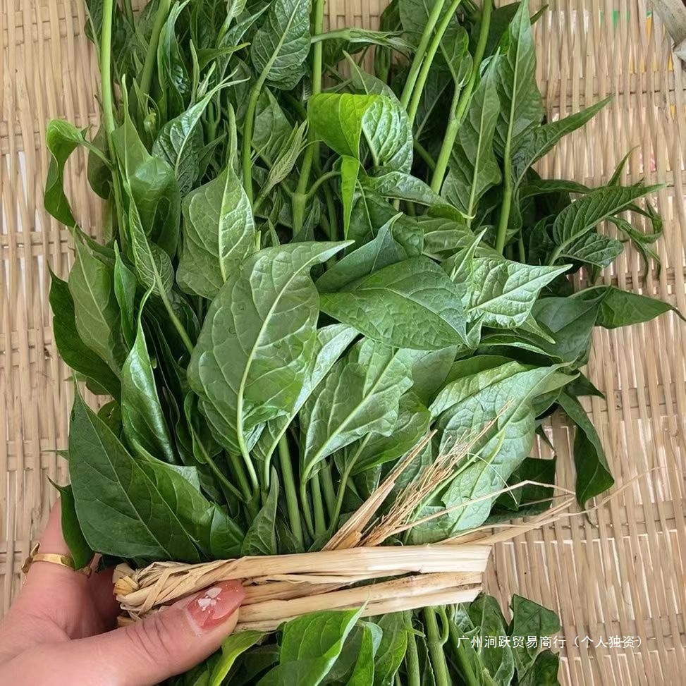 Yunnan Dehong Dai Specialty Dish Pakxiu Fresh and Delicious Freshly Picked Wild Vegetables Boiled Egg Soup Mixed Vegetable Soup Free Shipping