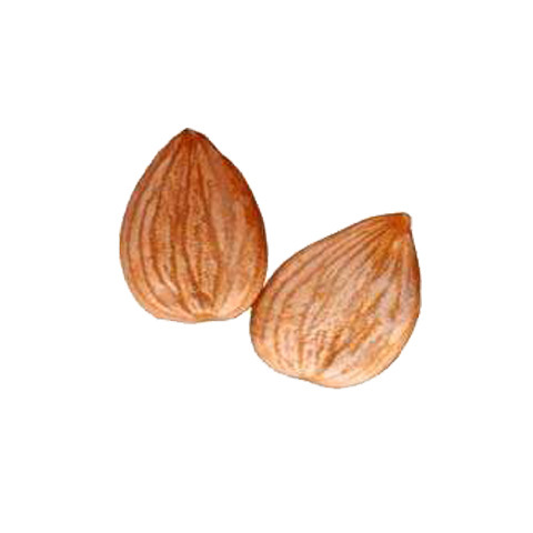 Xinjiang Raw Original Sweet Almonds Raw Almonds Cooked Five-Spice Shelled Apricot Kernels in Bulk Free Shipping
