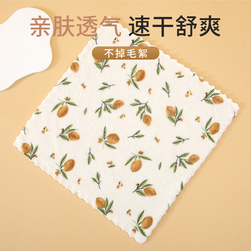 Cross-Border Dropshipping New Printed Coral Velvet Lace Children's Square Towel Absorbent Floral Bear Square Towel