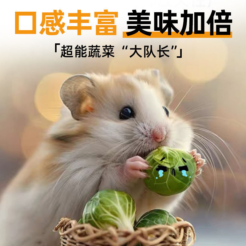Hamster Snacks Freeze-Dried Spore Cabbage Teething Fattening Ready-To-Eat Pet Vegetables Golden Bear Rabbit Squirrel Feed