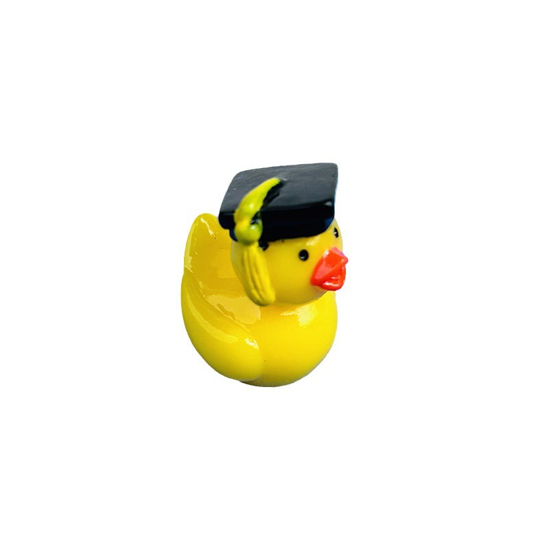 New colorful graduation hat duck doll, Moss micro landscape decoration creative decoration jewelry resin crafts