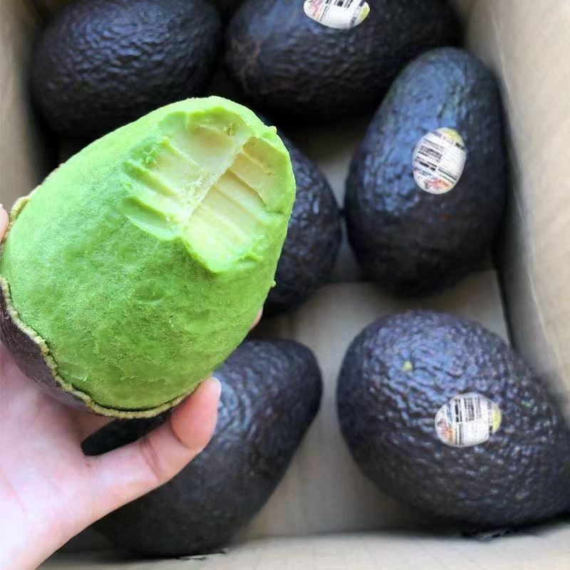 Avocado Fruit Fresh Large Fruit Mexican Avocado Seasonal Fruit for Pregnant Women and Babies