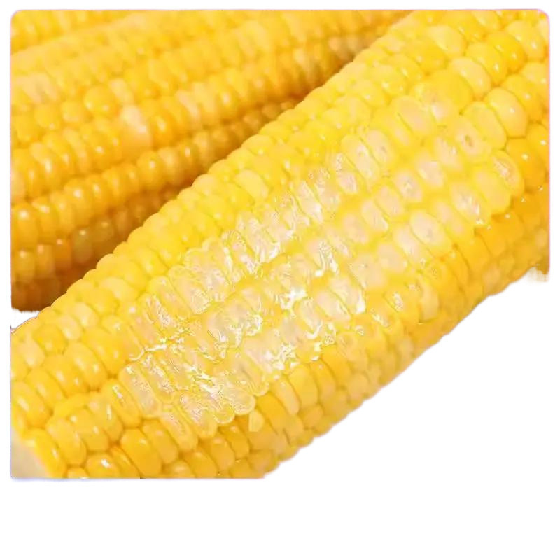 Fruit Corn Ready-To-Eat Vacuum-Packed Fresh No-Cook Juicy Sweet Corn Segments Low-Fat Meal Replacement Breakfast Sweet and Tender