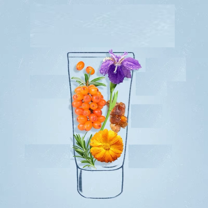 [Official Free Shipping] Qingyang Shampoo for Men and Women 175g Shampoo 400g Multi-Effect Moisturizing 750g Wholesale