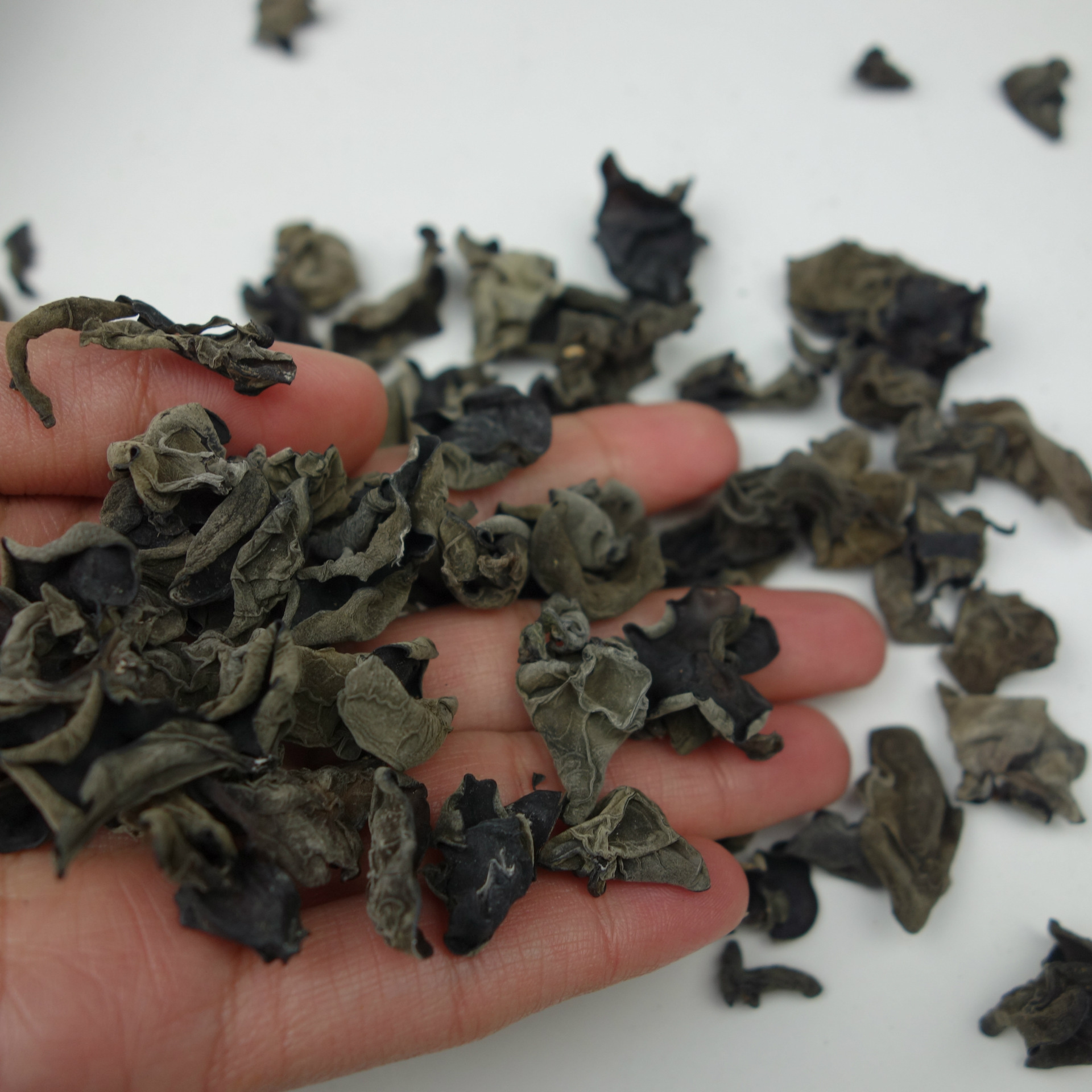 Wholesale Self-produced Black Fungus Northeast Specialty Dry Goods Rootless Meat Thick Crispy Place of Production 500g