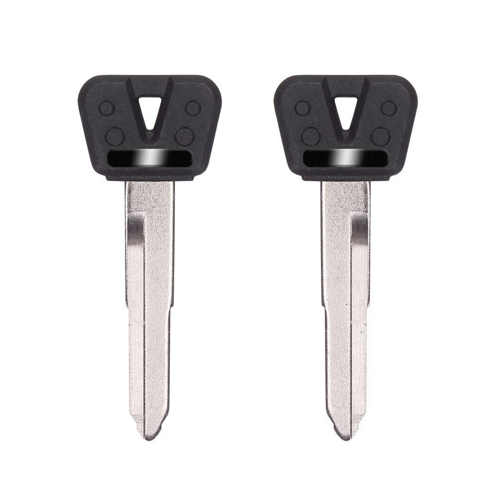 Suitable for Yamaha Motorcycle Xv250/400/600 Tianjian Seal Dragon Zr Seal King 90Fz250 Key Embryo