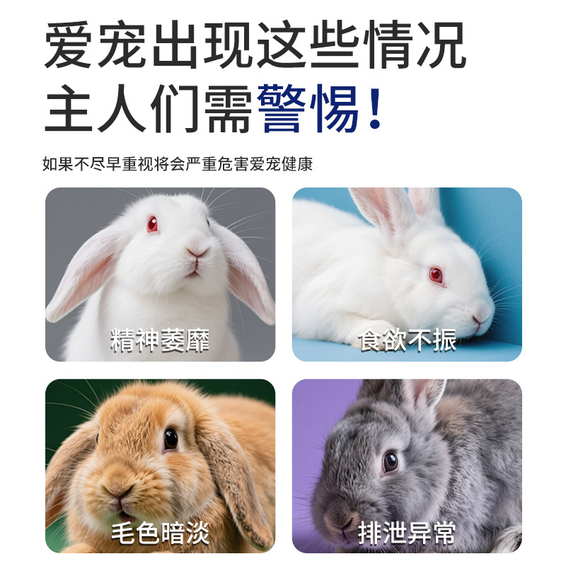 Rabbit Deworming Medicine for Internal Parasites, Coccidiosis, and Tapeworm Prevention and Treatment, Specialized Rabbit Medicine