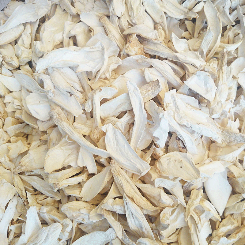 Pleurotus eryngii dried tablets 500g Pleurotus eryngii small pieces wholesale dried scallops mushroom oyster mushroom dried edible fungus