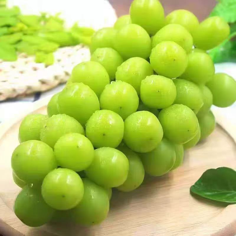 Sunshine Rose Grape Qingwang Fresh Fruit