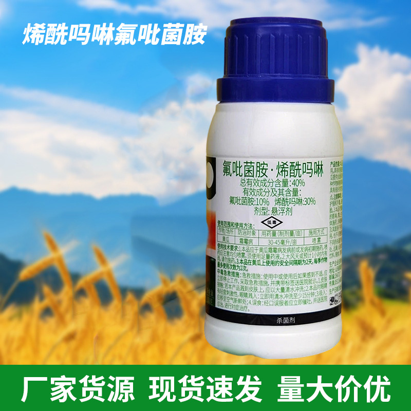 Флуороксинил, виноград, помидор, огурец, картофельная мучнистая роса