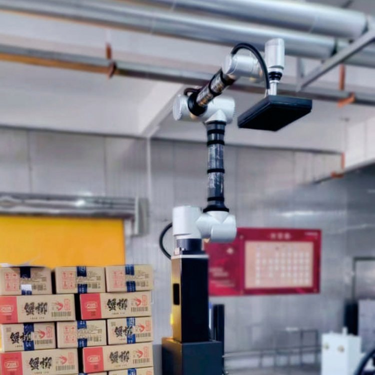 Liftable Fully Automatic Carton Handling Palletizing Column Stacking Collaborative Automatic Industrial Robot Mechanical Arm
