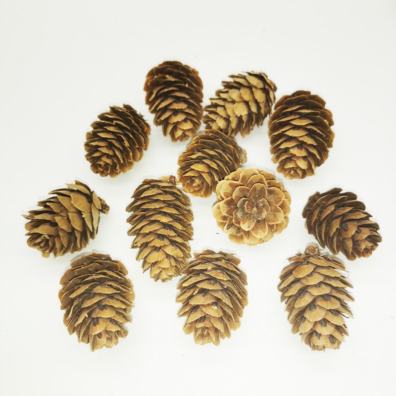 Larch pine dried flower pine tower painted white mini pine fruit dyed white pine flower DIY decorative accessories wholesale