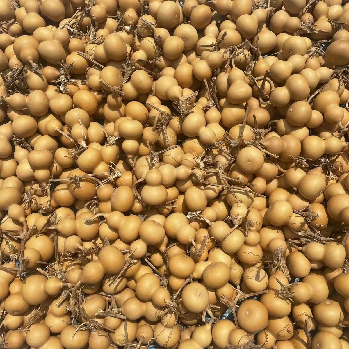 New gourd hand twist Liaocheng text play small gourd pendant jewelry gourd ornaments text play hand piece wholesale gourd