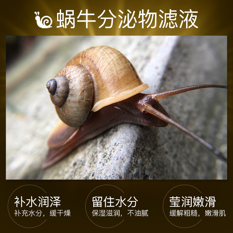 Bisutang Snail Essence Hydrating and Moisturizing Set Six-piece Whitening and Freckle Removing Moisture Supplementing Skin Care Set