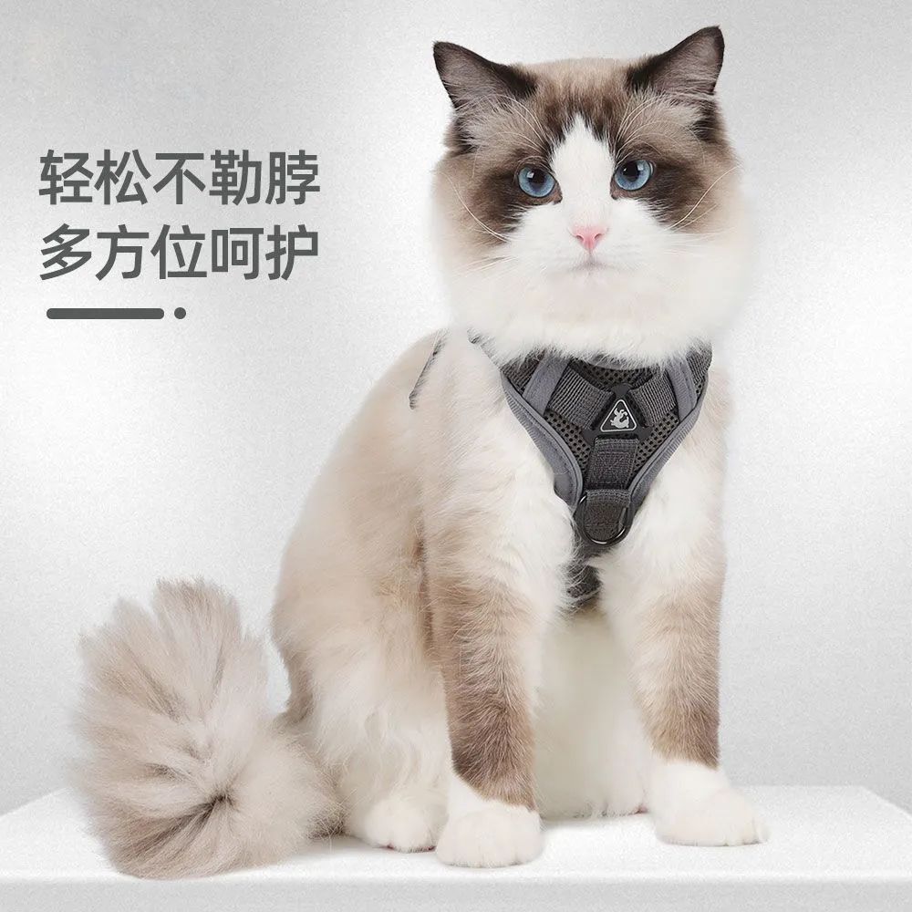 New Cat Traction Vest Chest Strap Anti-break Out Cat Chain Small and Medium Dog Rope Pet Supplies