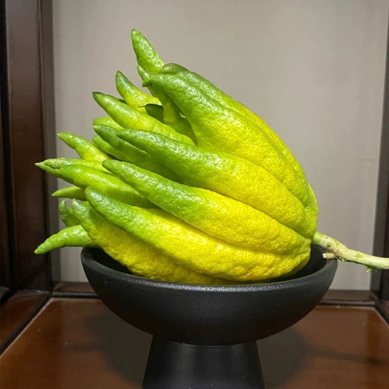 Рука Будды из Юннани для благословений и долголетия, гидропонная цветочная композиция руки Будды для декоративного оформления, натуральная ароматерапия, свежесобранная