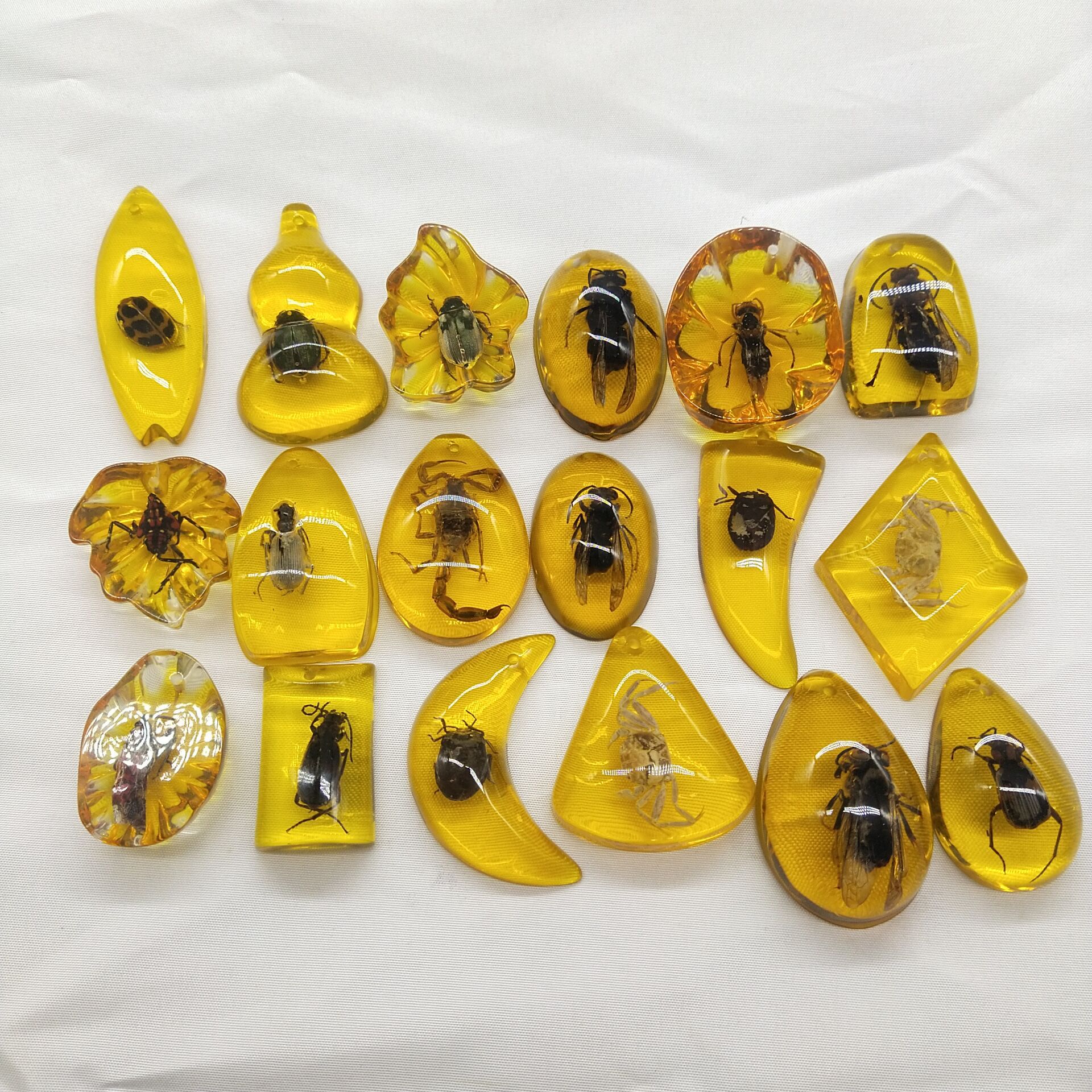 small size True Specimen Insect Amber Accessories Children's Digging Ancient Toys Blind Box Accessories Supply Factory in stock