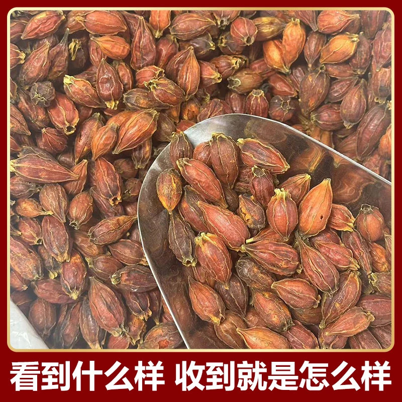 Gardenia 1000g Chinese Herbal Medicine Spot Wholesale and Retail New Goods Source Manufacturer First-Hand Supply Chinese Herbal Medicine 500g