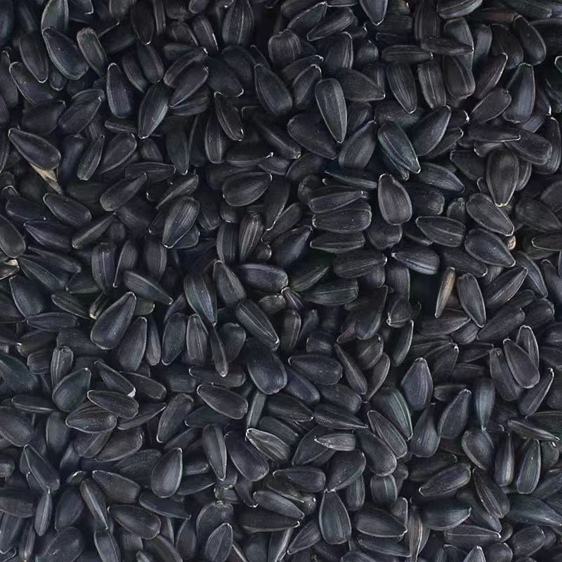 Сезонный новый сырой подсолнечник семена дыни корм для птиц сырьё для хомяков черные семена дыни подсолнечника сырьё оптом