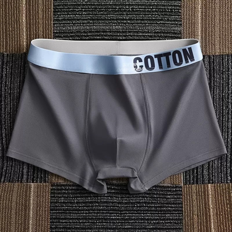 Men's Underwear New Style Pure Cotton Large Size Loose Boxer Briefs Comfortable Breathable Youth Boxer Briefs Wholesale