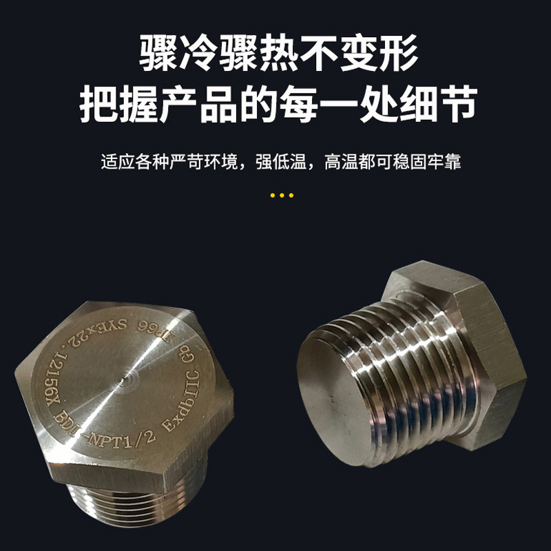 304 Stainless Steel Explosion-Proof Plug, External Hexagonal Explosion-Proof Box Sealing Plug, Solid External Wire Stuffy Cover, Threaded Plug Cap