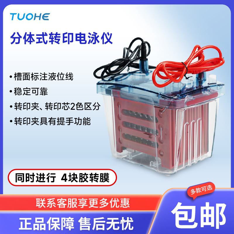 Tophe 2024 New Split Integrated Blue Light Horizontal Electrophoresis Instrument Transfer Tank Programmable Electrophoresis Instrument Power Supply