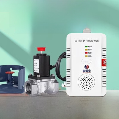 Gas Alarm Natural Gas Household Kitchen Gas Detector Liquefied Gas Combustible Gas Leak Detection Probe