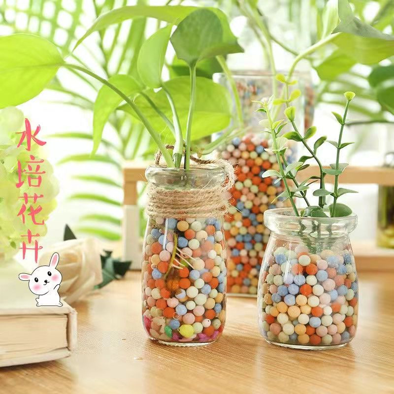 Factory wholesale color ceramsite horticultural soilless cultivation with mixed ceramsite fleshy flower paving ceramsite