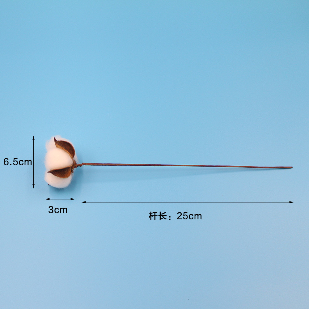 Cotton Dried Flowers, Simulated Cotton, Natural Kapok, Christmas Wreath Decoration Supplies, White-Headed Immortal Flowers