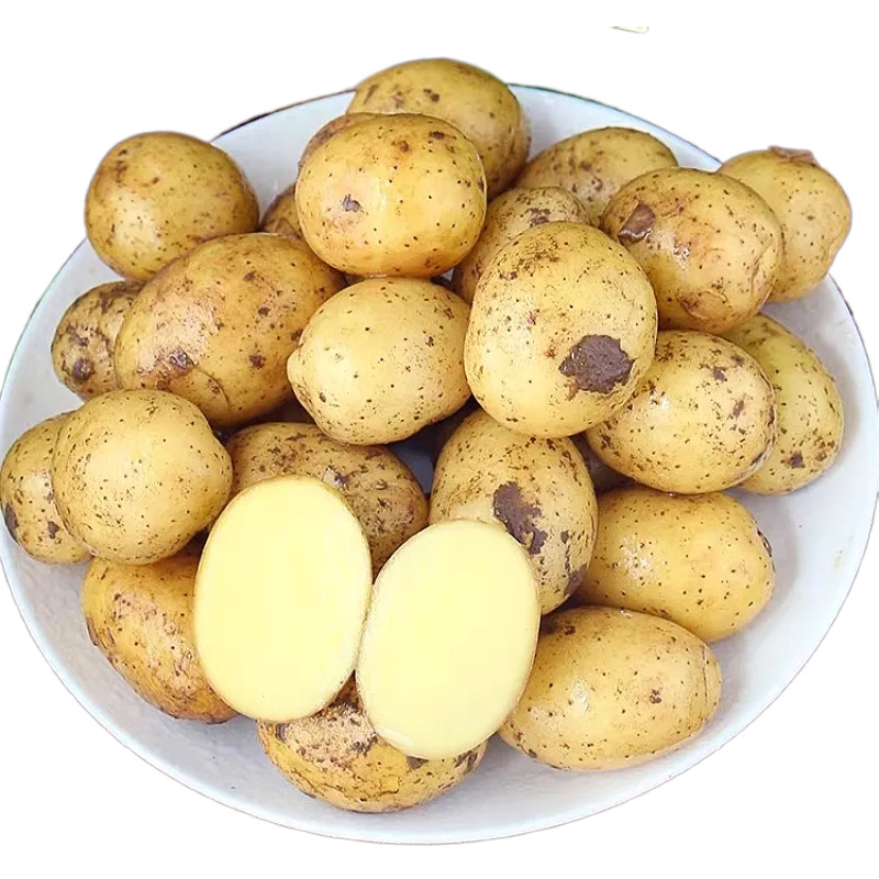 Свежие маленькие картофели из Энши, свежевыкопанные из Хубэя, свежие картофели с желтой мякотью, сезонные овощи, картофели и картофели для дропшиппинга