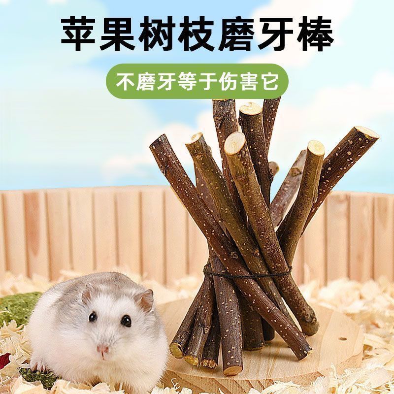 Dried Apple Branch Teething Stick Edible Small Pet Hamster Teething Guinea Pig Chinchilla Rabbit Wear-Resistant Calcium Supplement