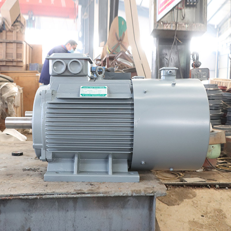300 Rpm Low Speed Permanent Magnet Synchronous Generator 10Kw20Kw30Kw50Kw100Kw Wind and Hydro Generator