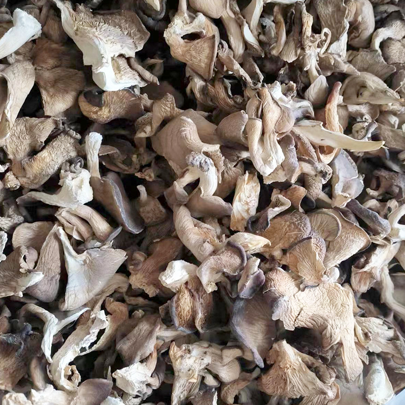 Base wholesale dried Pleurotus ostreatus 500g dried Pleurotus ostreatus dried edible fungus north and south dried bulk fungus bag