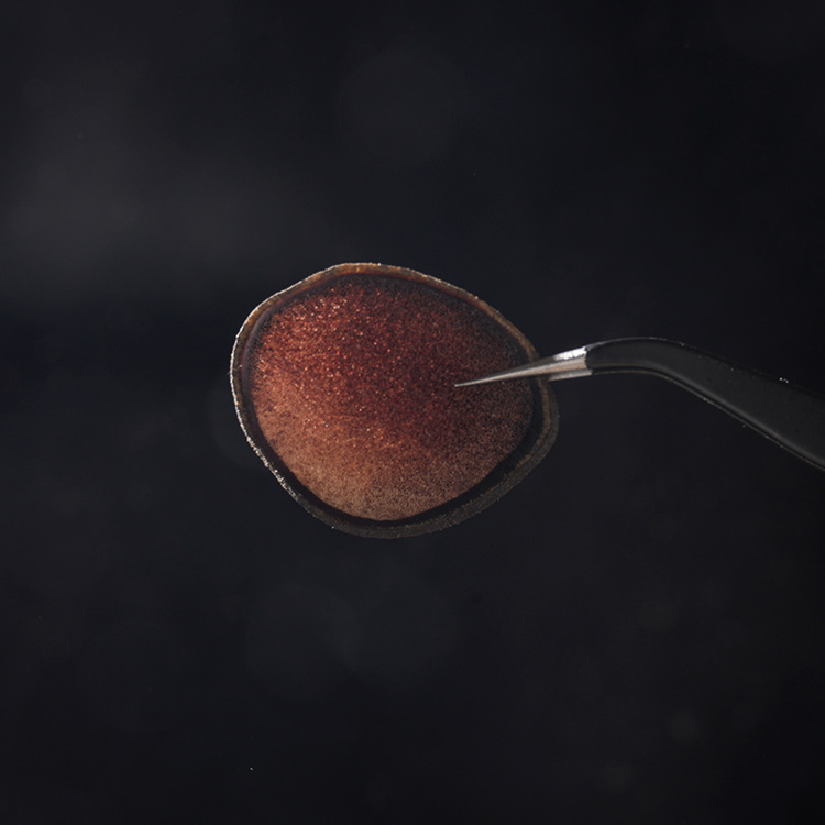 Pilose antler red powder factory wholesale northeast specialty pilose antler tablets bubble wine soup deer township pilose antler blood tablets annual gift