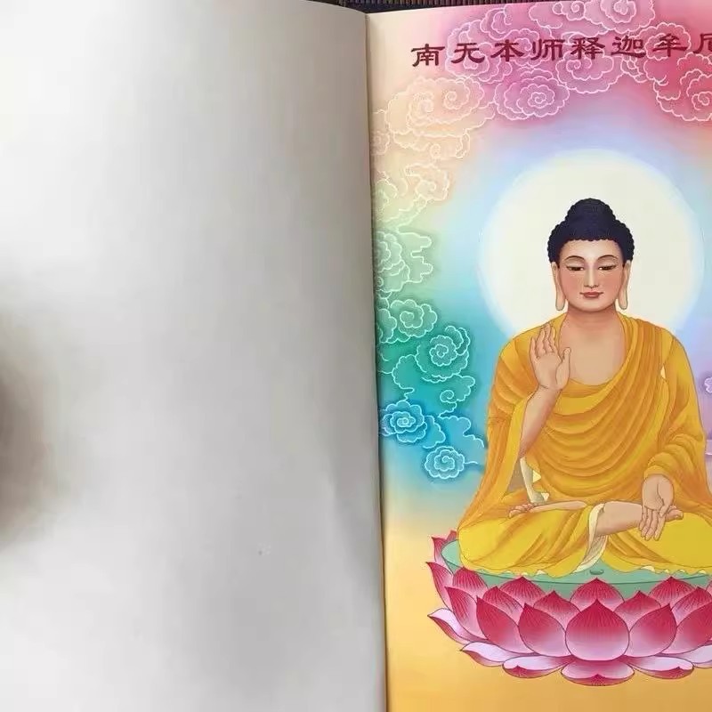 Authentic Hardcover Hardcover Buddhist Sutra of Infinite Life Simplified Pinyin Large Character Phonetic Version Honghua Changle Recitation of Buddhist Sutras