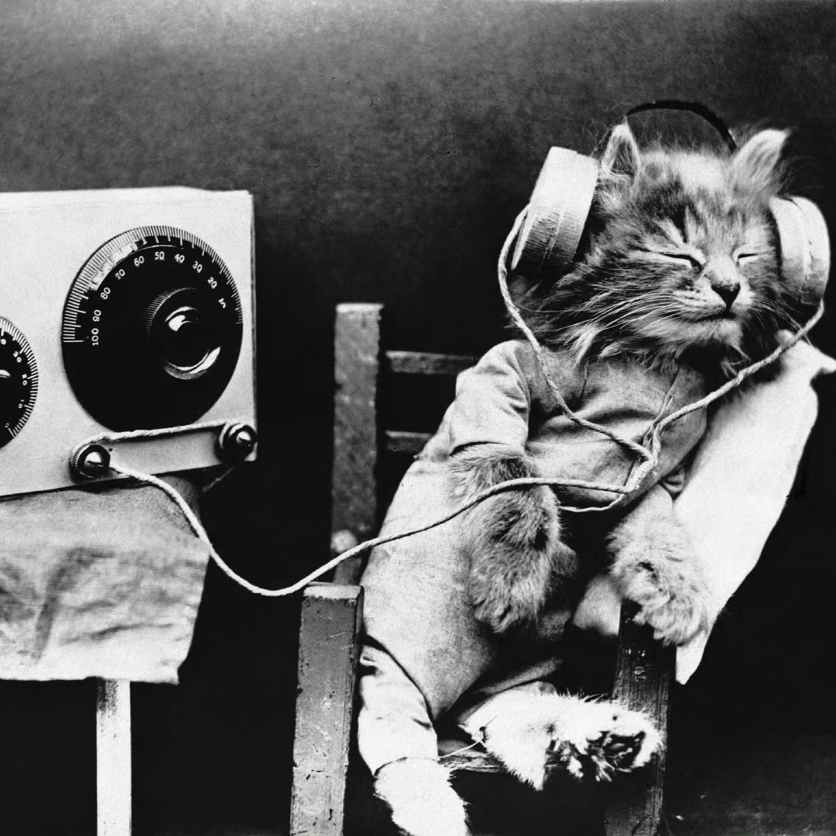 石头纸不易撕破防水防油且无毒书写做笔记本购物袋桌布特殊用纸