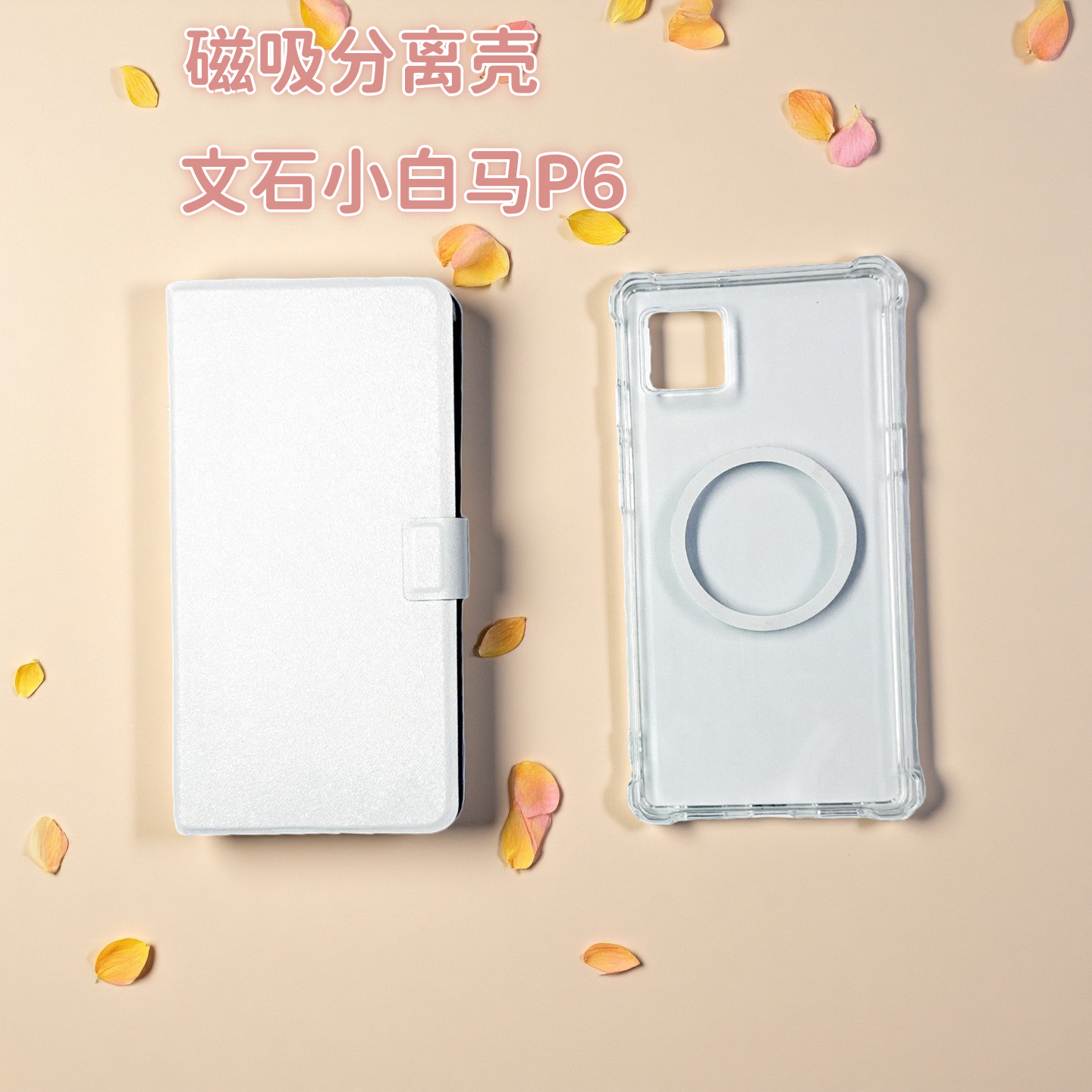 Ireadertango/2 Detachable E-Book Protective Case for Xiaobaima P6/P6Pro Xiaocaima E-Paper Book