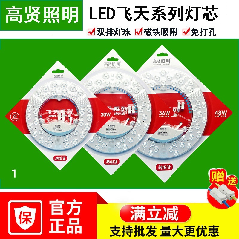 Factory Direct Sales Led Wick Ceiling Lamp Round Replacement Lamp Panel Lamp Panel Wholesale Led Module Light Source Ring Lamp Tube