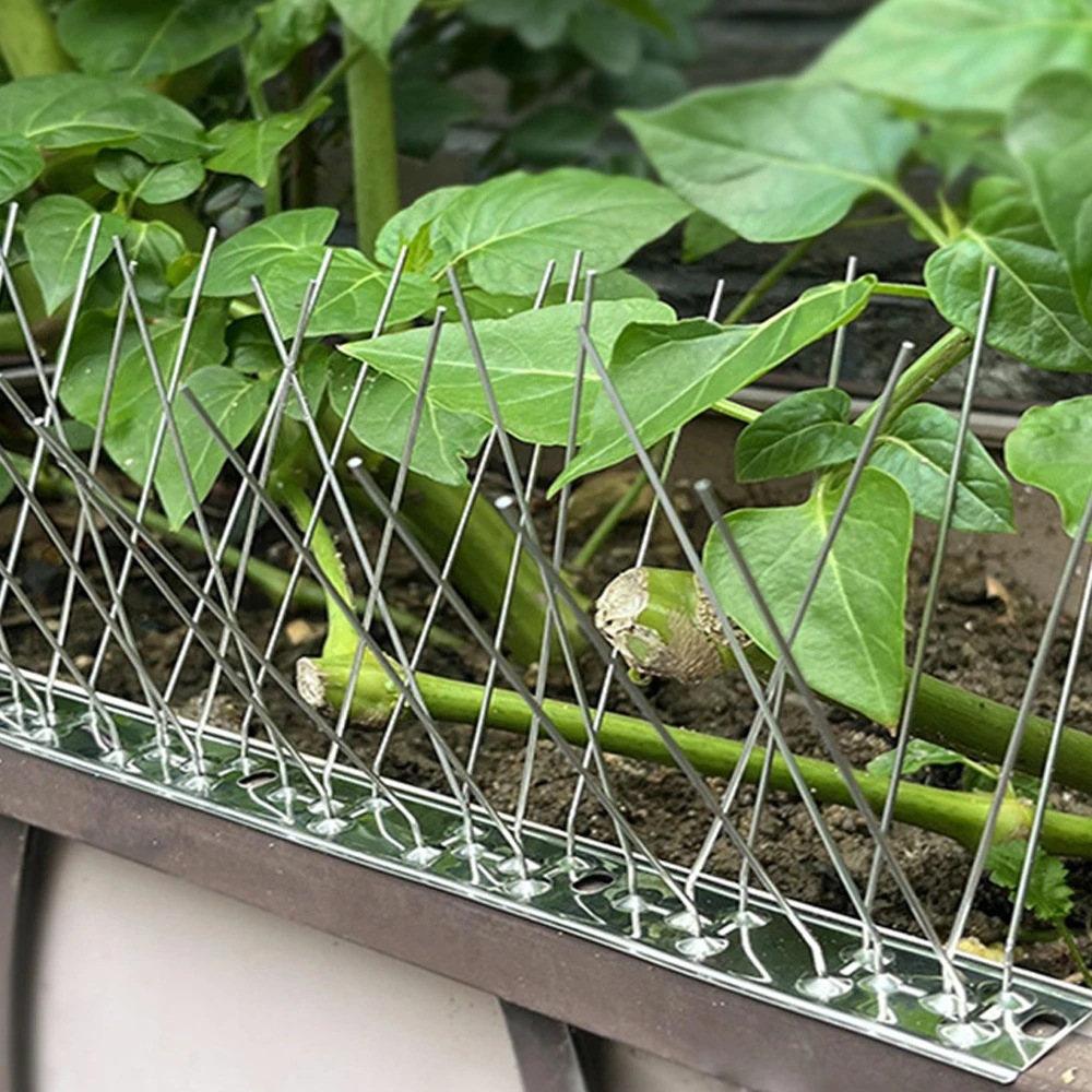 304 stainless steel anti-bird thorn 25cm33cm50cm balcony orchard stainless steel bird-repellent thorn Amazon explosions