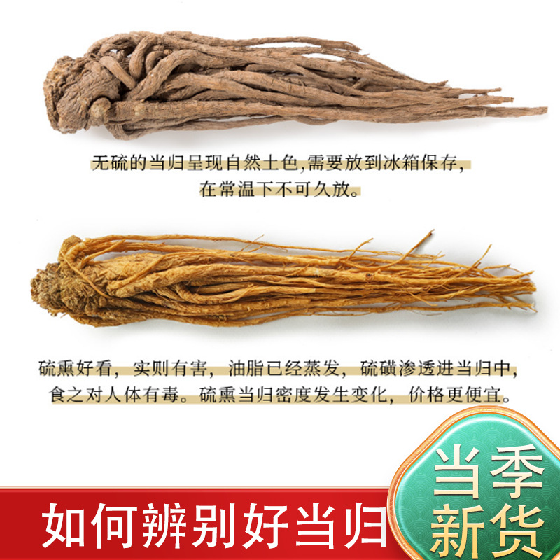 Angelica Sinensis, a Chinese Medicinal Herb from Gansu County, Yin County, Whole Root for Soup, Wholesale, Direct from Yin County, Gansu, No Additives