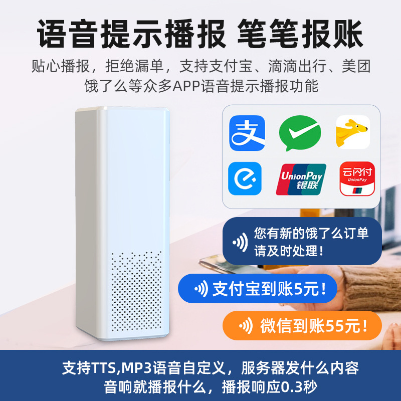 Broadcast Equipment Payment Reminder Custom Cloud Audio Announcer Announcer Audio Reminder Cloud Speaker