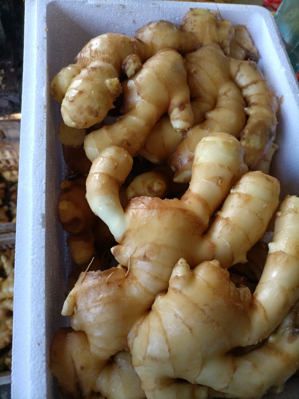 Ginger Exports Ginger Price, Rhubarb Ginger, Small Turmeric Price, Origin Ginger Price, Facing