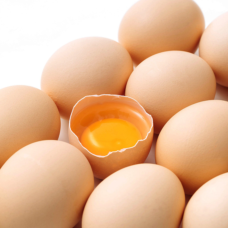 Fresh Eggs, 4-Pack, 12-Pack, Single Egg 40g+