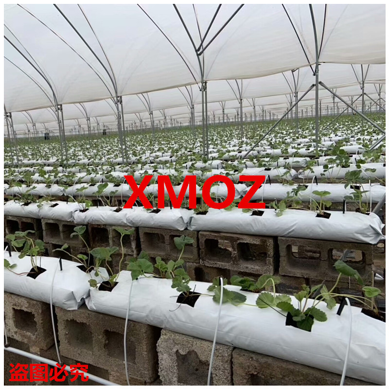 Сумка для посадки перца, агрономическая тепличная сумка для выращивания, белая снаружи и черная внутри, утолщенная антивозрастная сумка