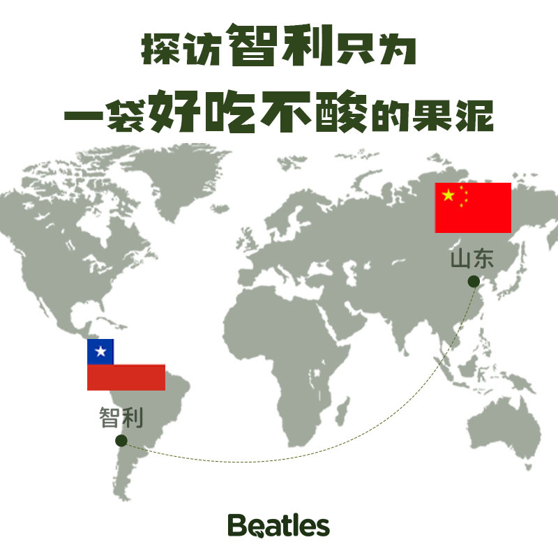 Bidushi Organic Baby Standard Fruit Puree Children's Infant Food Supplement Baby