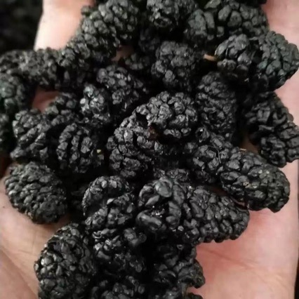 Organic Dried Mulberries, Sand-Free Black Mulberries, Dried Mulberry Seeds 500g, No-Wash Fresh Mulberries, Dried Mulberries for Soaking in Wine and Tea